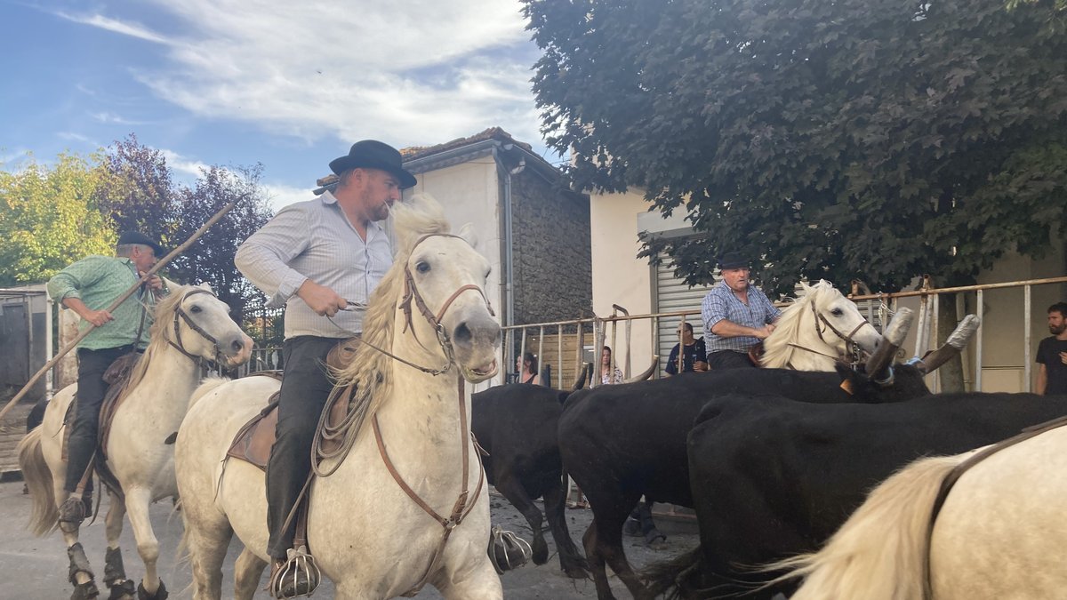 Fête votive de Bagnols-sur-Cèze