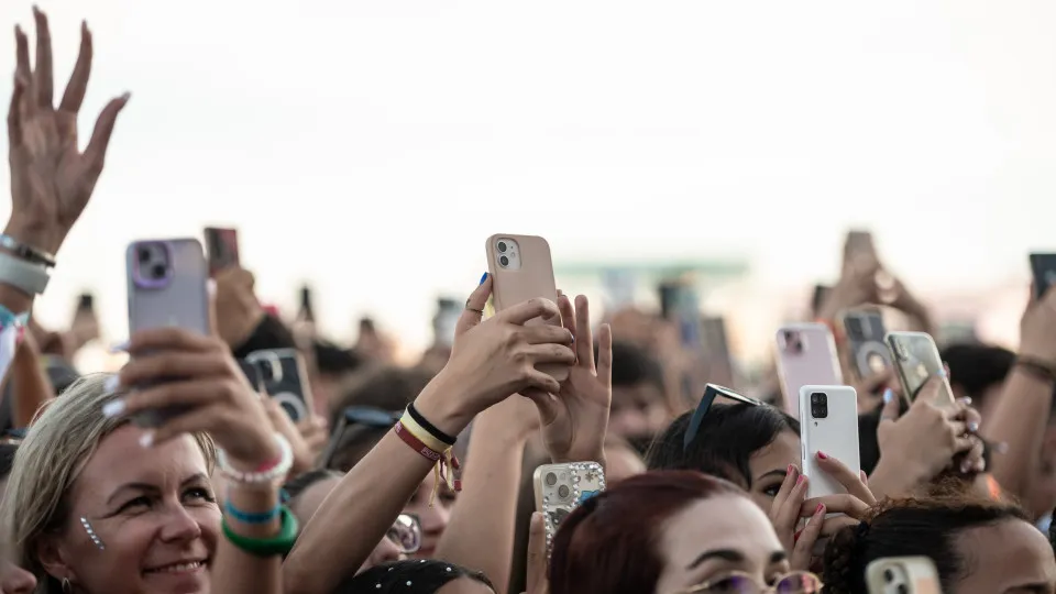 Festival F