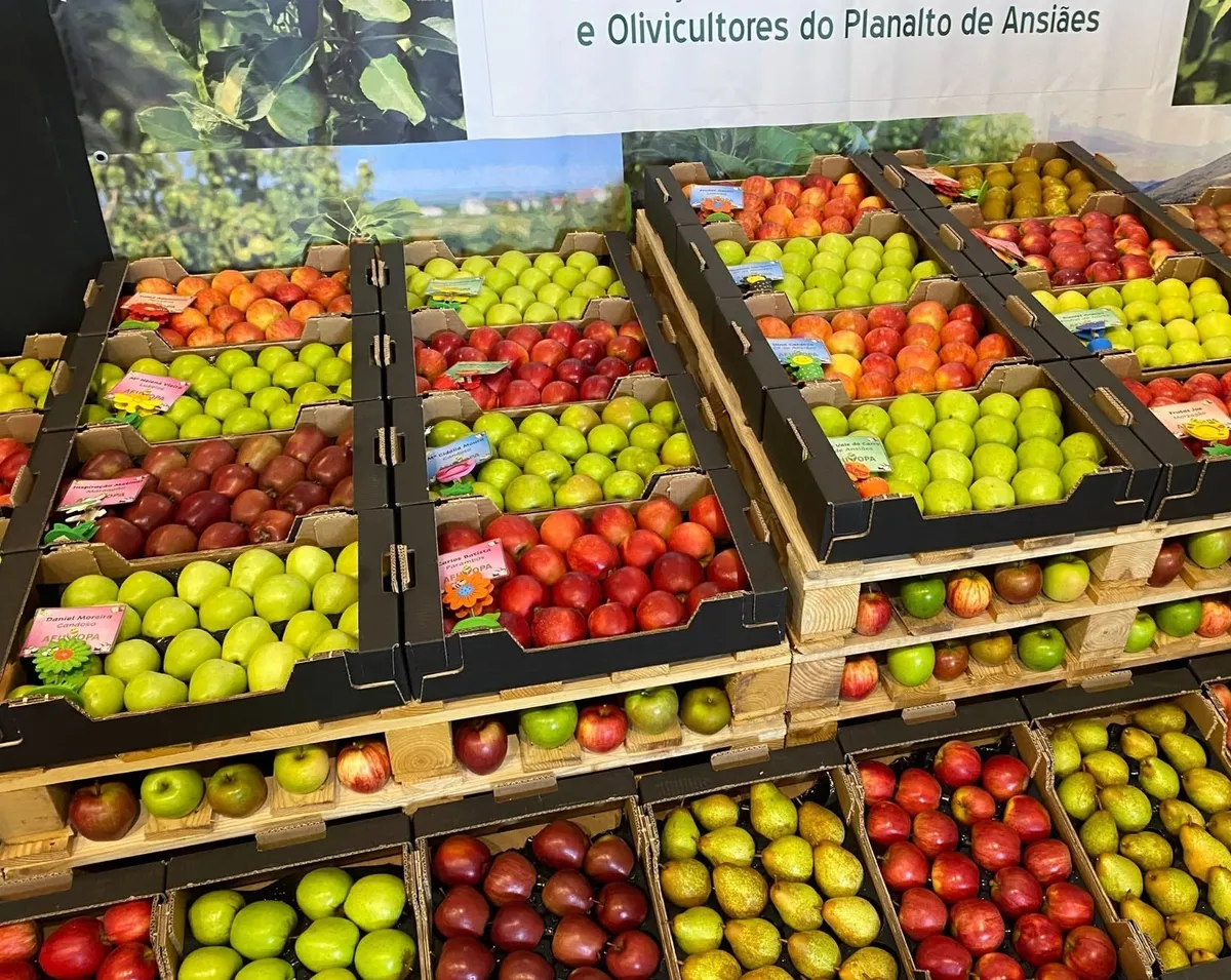 Feira da Maçã, do Vinho e do Azeite