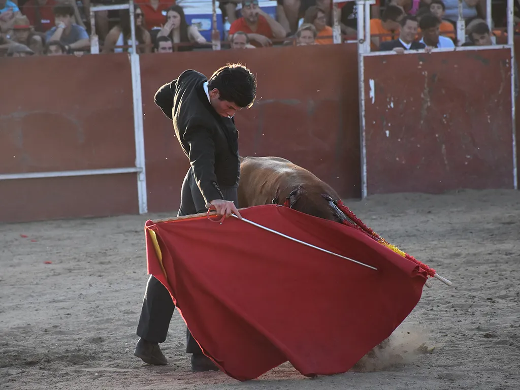 Festival Taurino de Navalmanzano