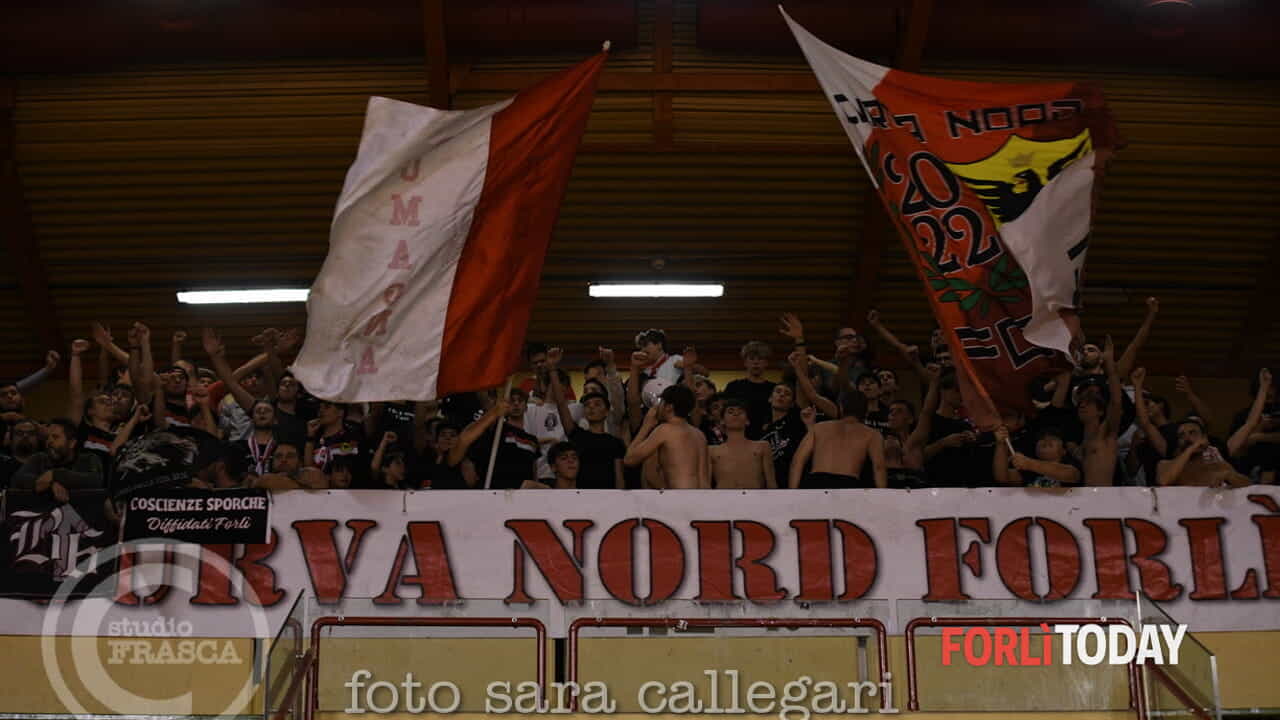 Forlivesi in festa