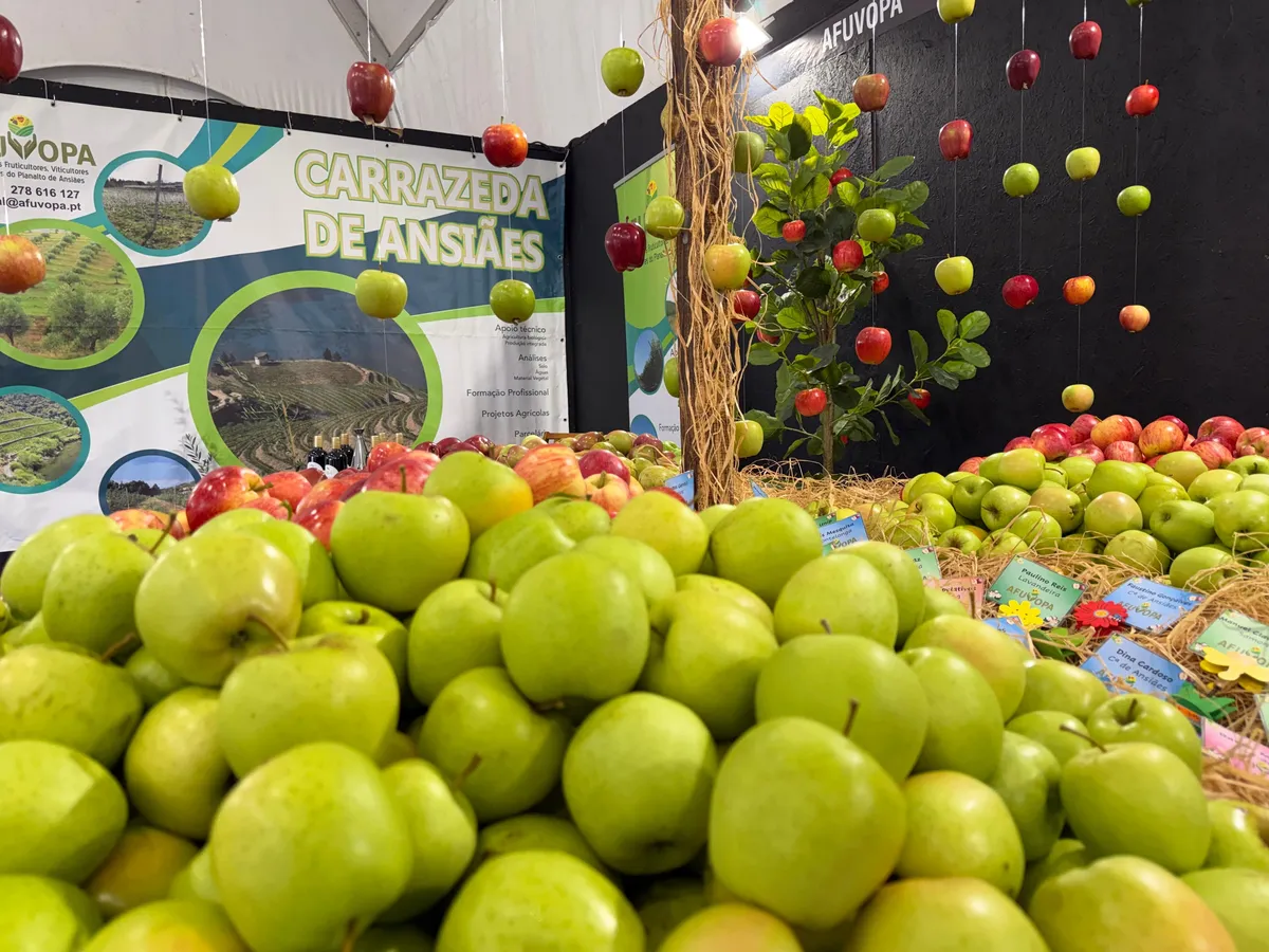 Feira da Maçã, do Vinho e do Azeite