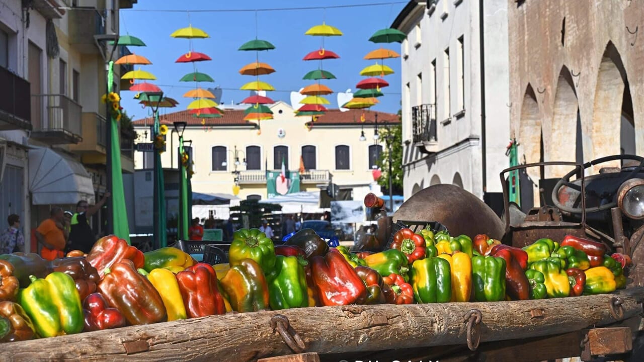 59ª Sagra del Peperone