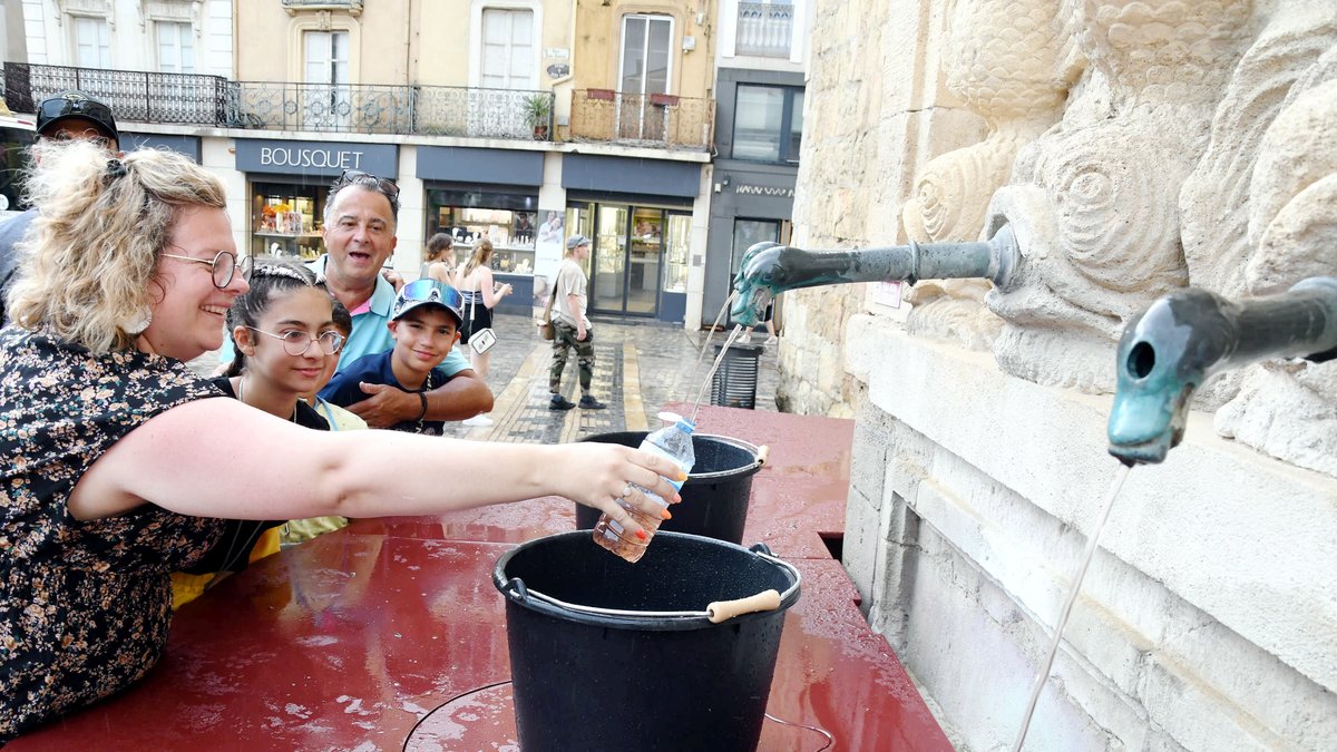 Fête de la véraison
