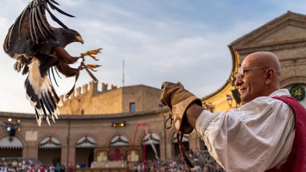 Palio de lo Daino