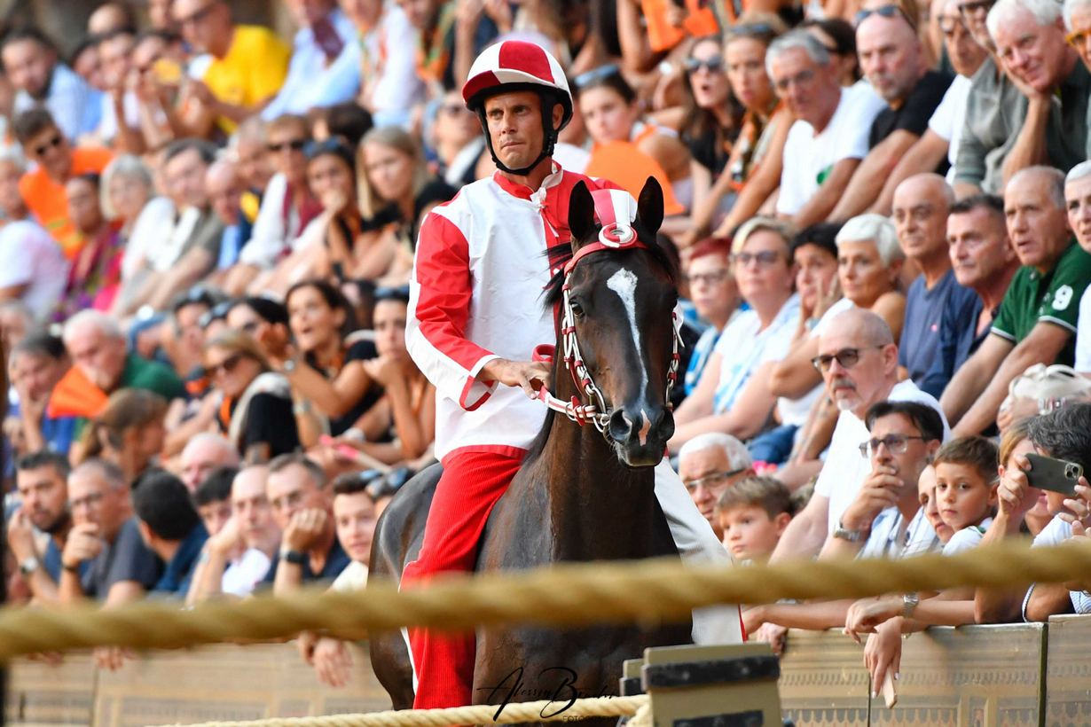 Palio di Siena (Palio dell'Assunta)