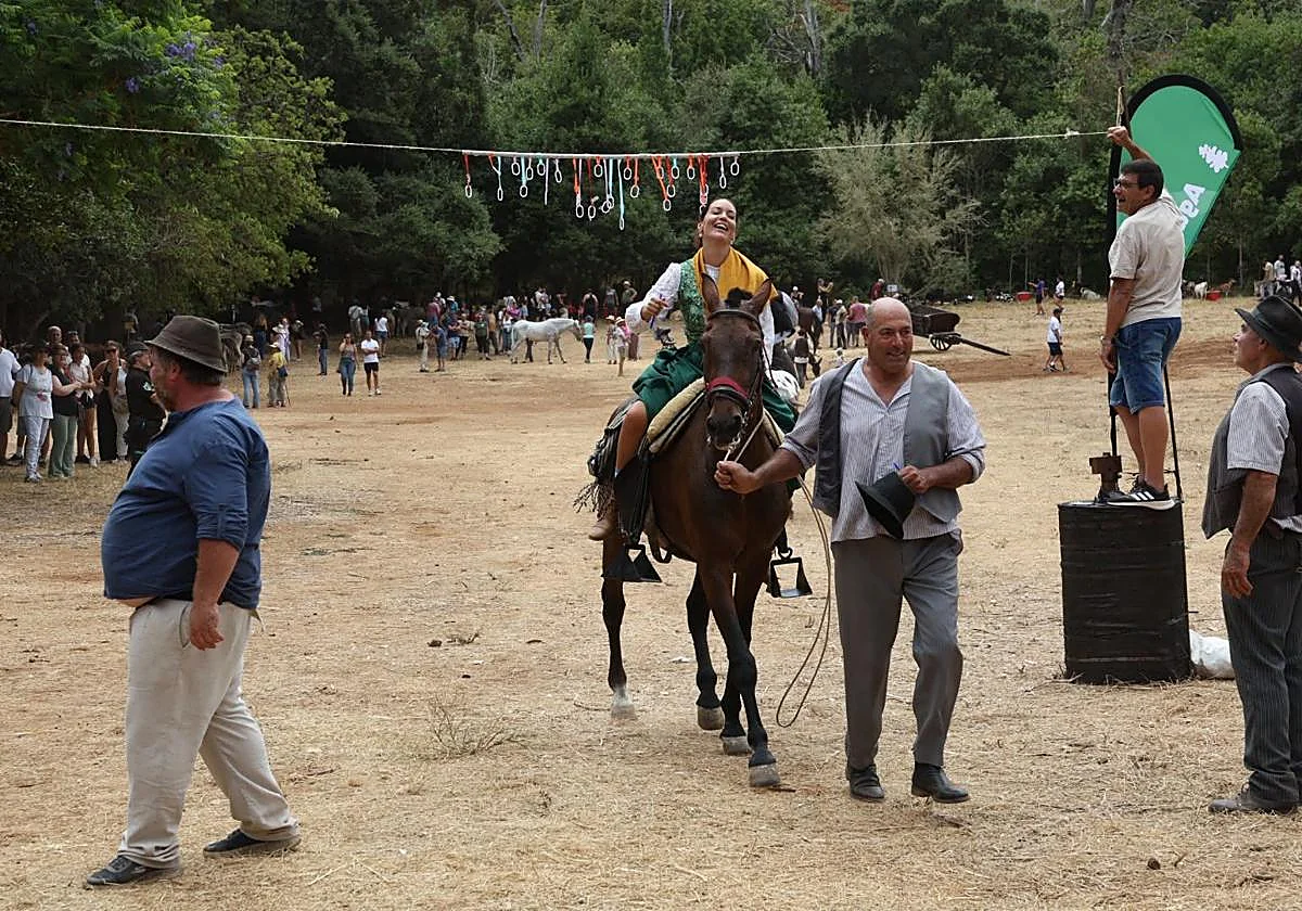 Feria de Ganado del Pino