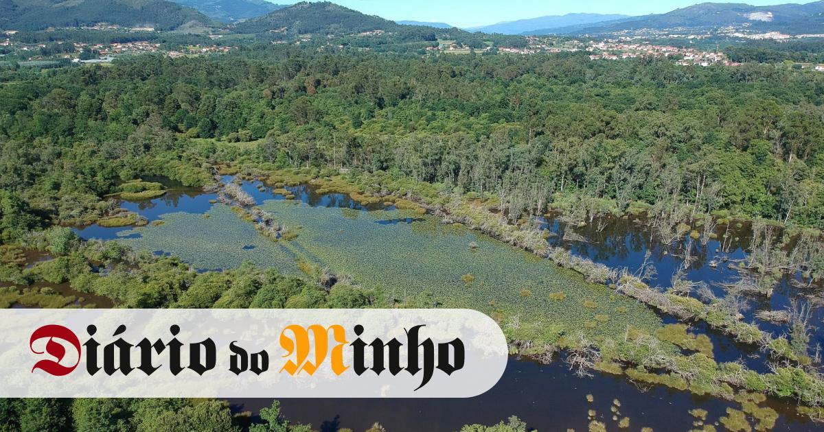 Festival Natureza