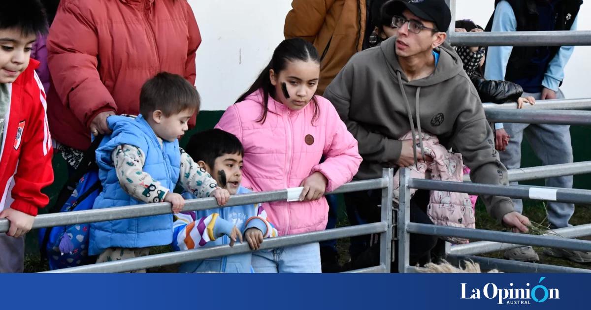 Expo Campo Infantil