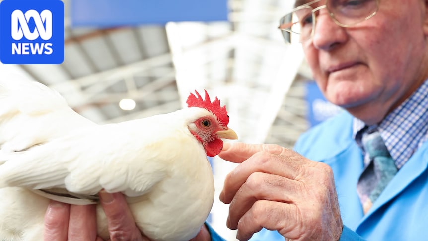 Melbourne Royal Show