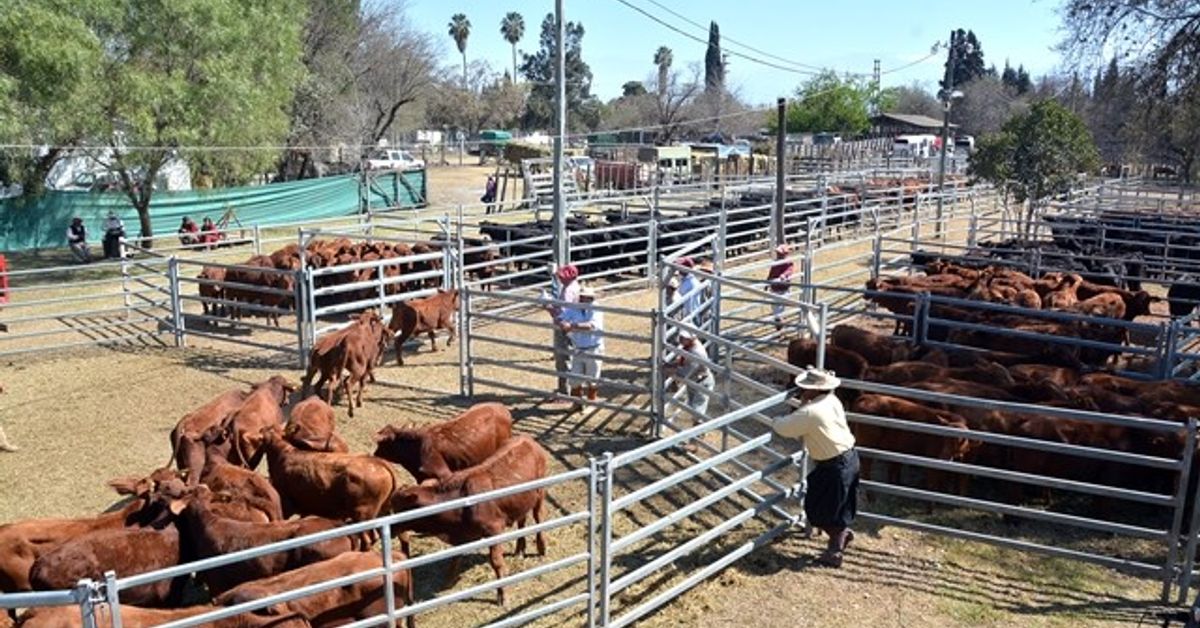 Expo Rural Salta