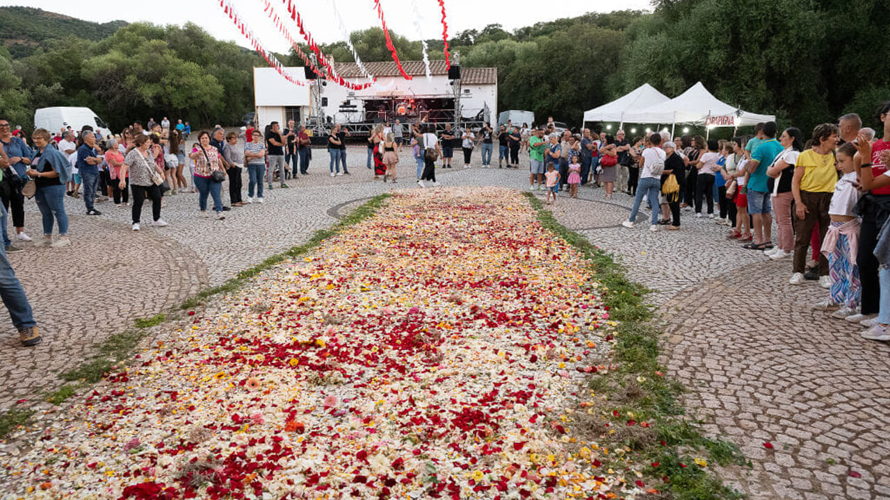 Festa di San Sisinnio