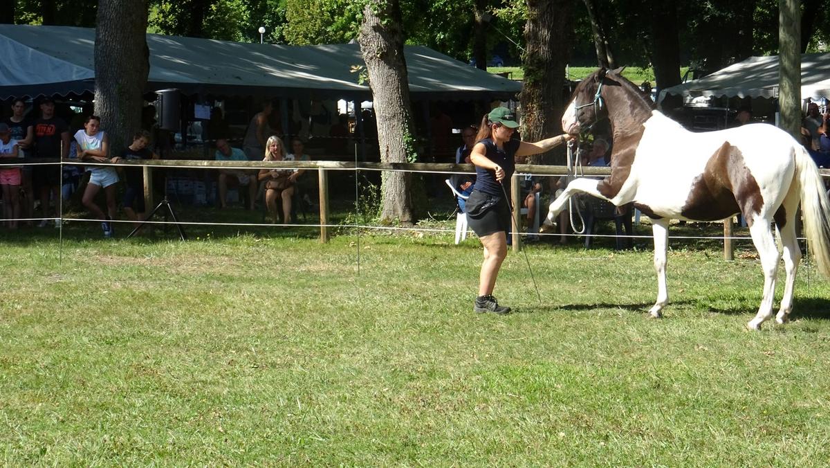 5e fête du cheval