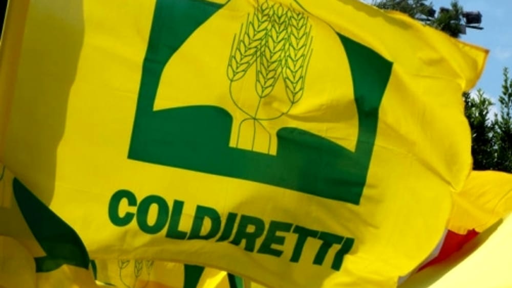 Festa dell’Agricoltura 2026