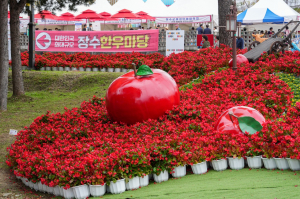 Jangsu Hanwoo & Apple Festival