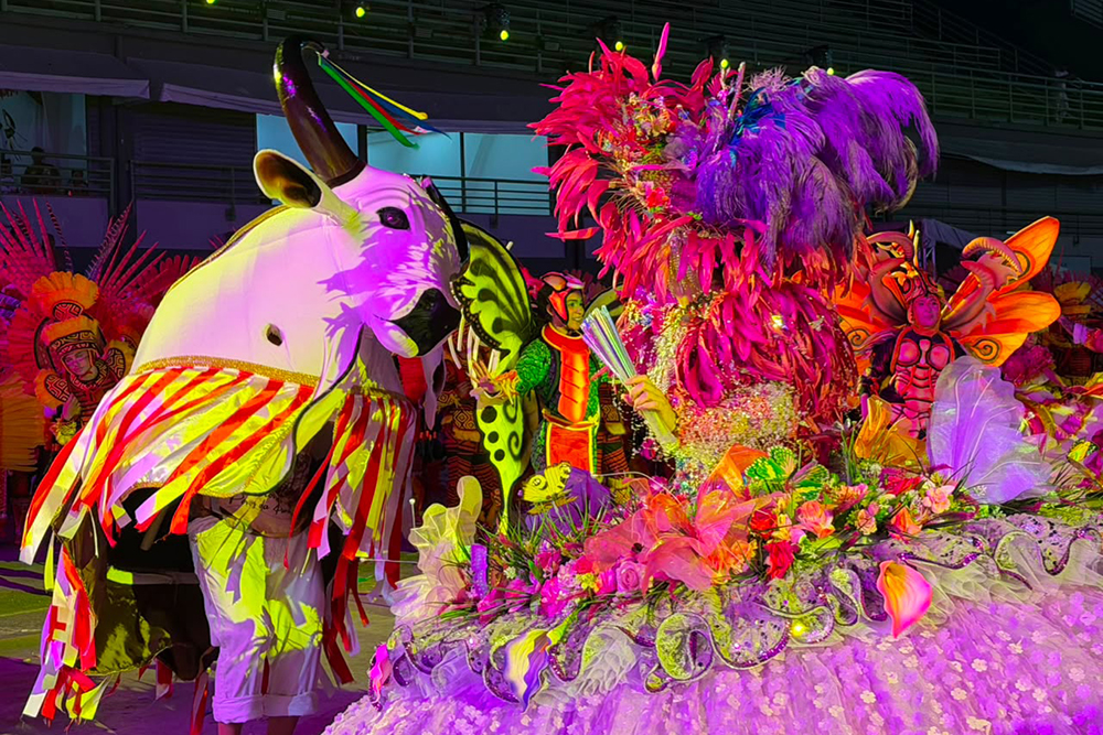 Festival Folclórico do Amazonas