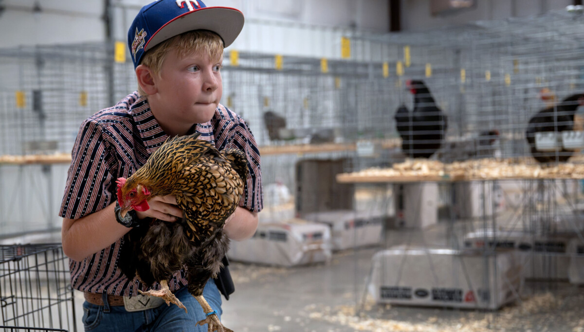 Santa Fe County Fair