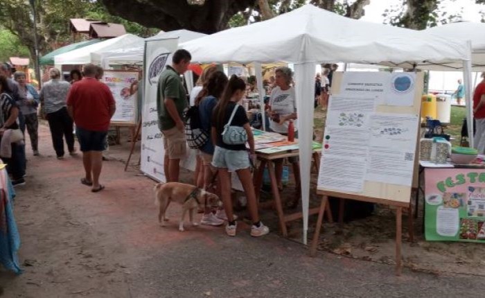 ÈQUA LA FESTA 2026