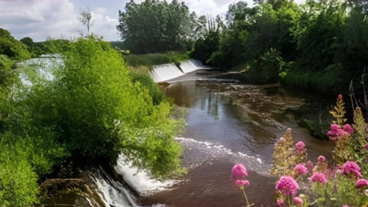 Brosna River Literary and Music Festival