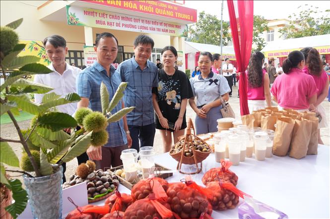 Lễ hội mùa hạt dẻ năm 2026