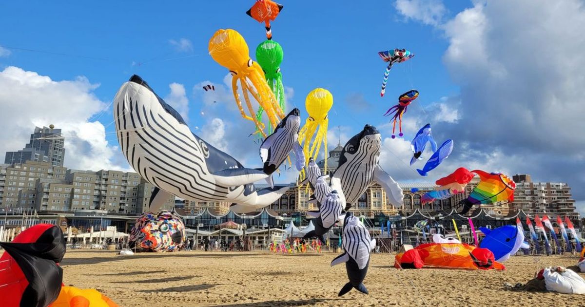 Vliegerfestival Scheveningen