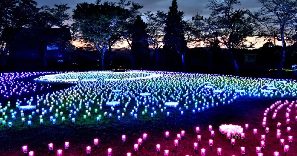 Ojiya Hotaru Illumination 2026
