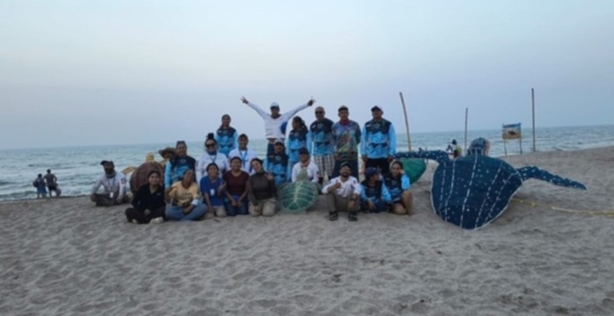Festival de la Tortuga Marina