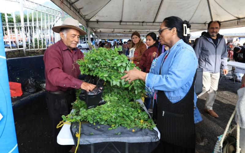 Feria del Agricultor