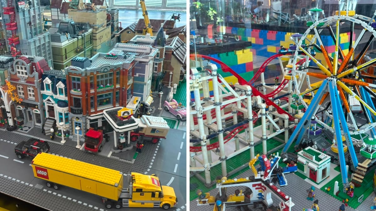 Exposição Legueiros