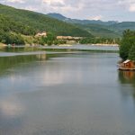 Festival Na sopstveni pogon