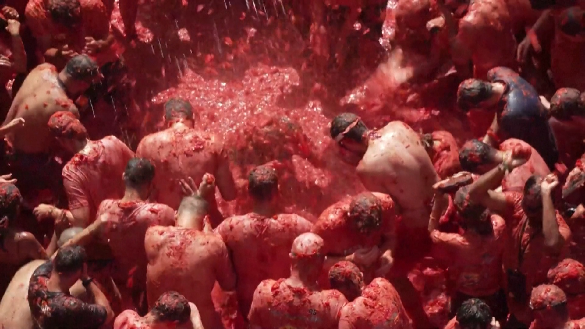 La Tomatina