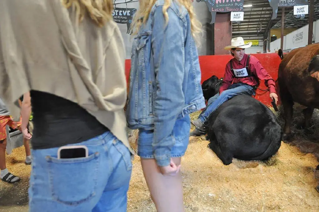 Chilliwack Fair