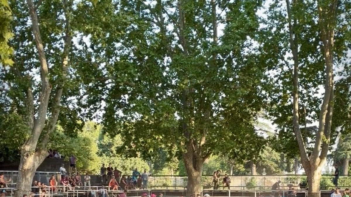 Fête votive du Cailar