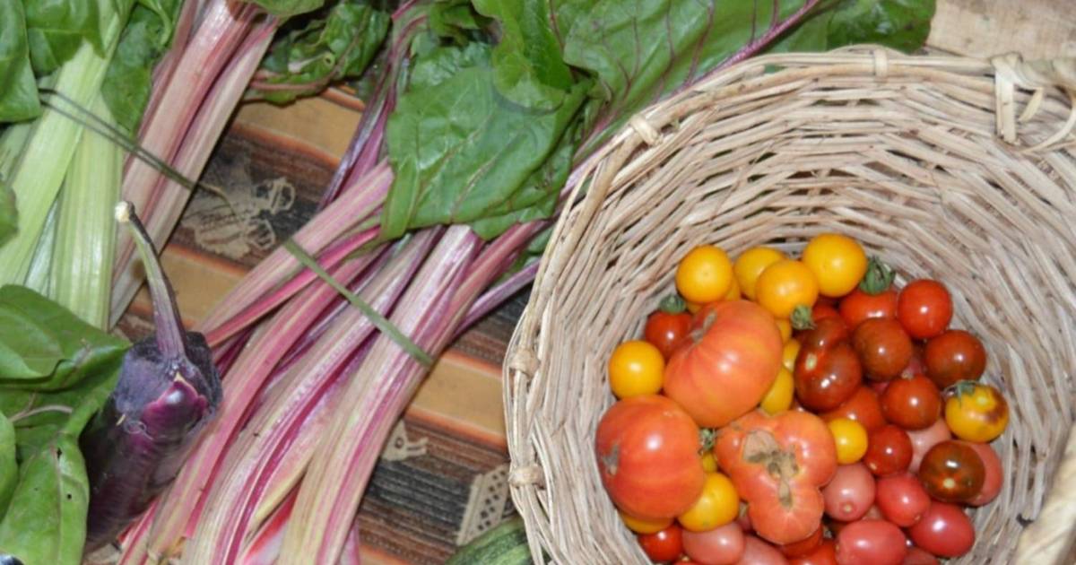 Feria Agroecológica Municipal Itinerante (FAMI)