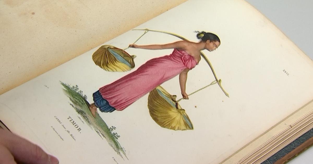 Visites de la bibliothèque centrale de l’UMons et de ses collections