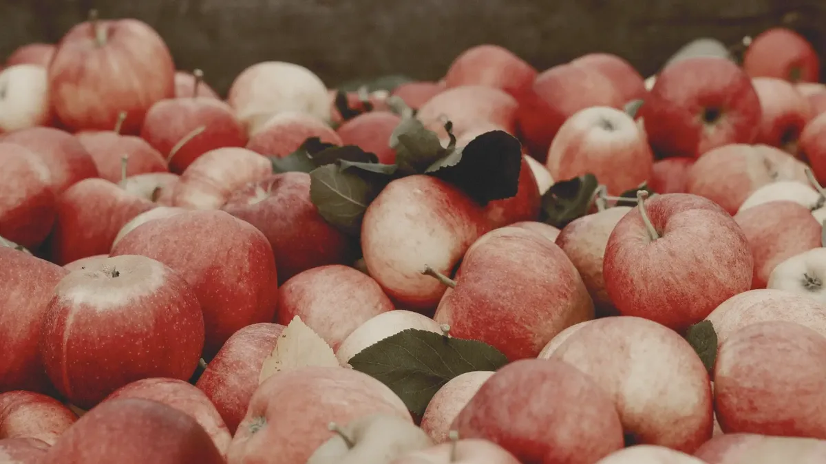 Feira da Maçã, Vinho e Azeite