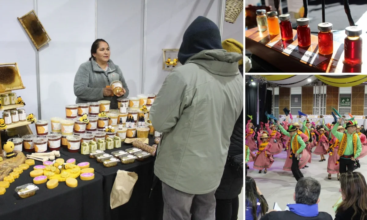 Festival de las Abejas y la Miel