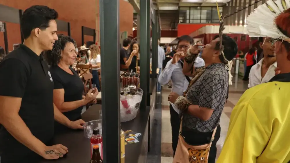 Mesa Ao Vivo MS