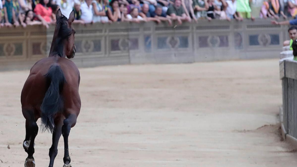 Palio di Siena