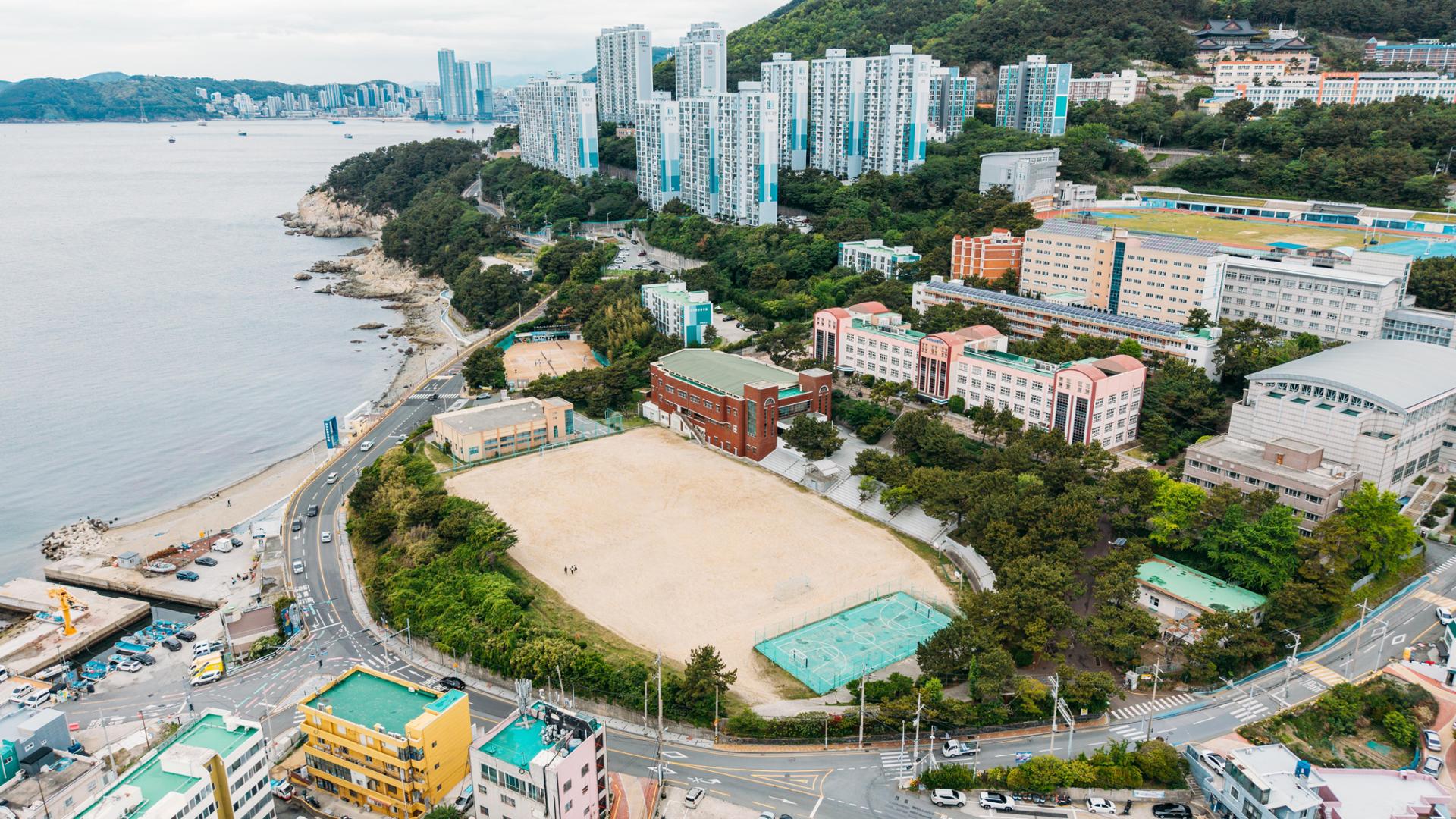 Busan Biennale