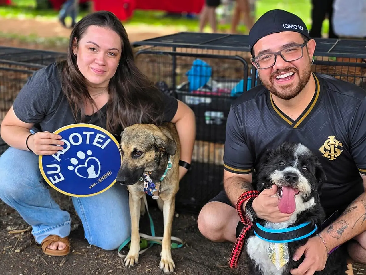 Feira de adoção de cães resgatados