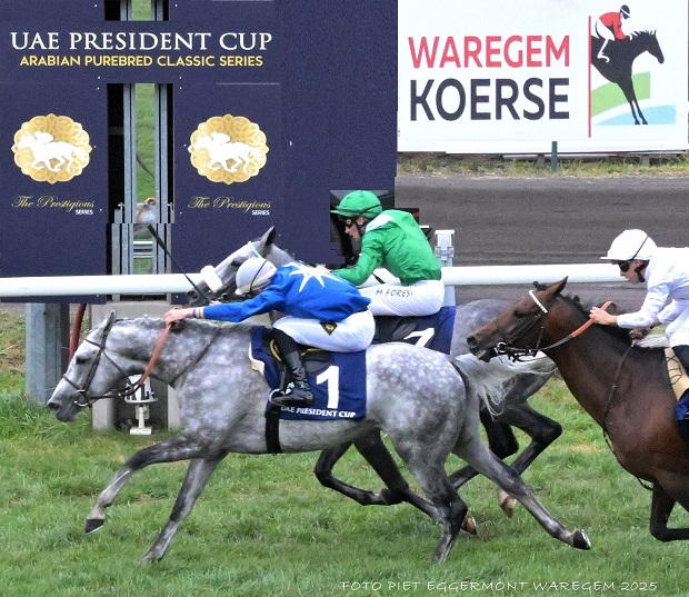 Waregem-Koerse