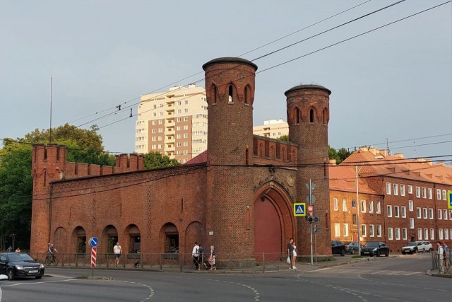 Палимпфест