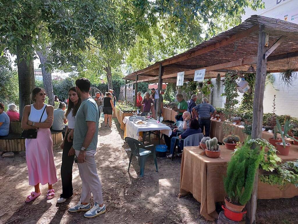 La Sagra delle Erbe Palustri