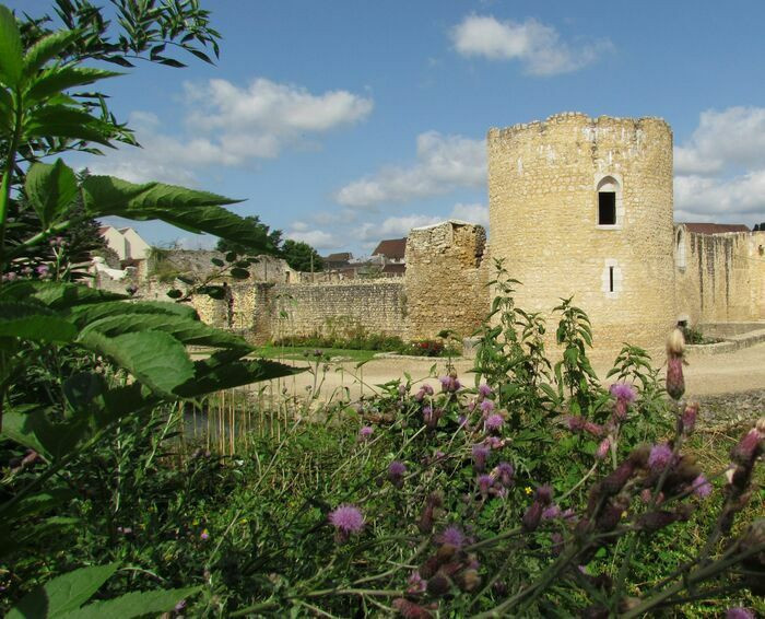Journées du Patrimoine 2026 au Château de Brie-Comte-Robert