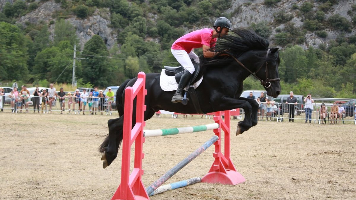 Fête du cheval de Mérens