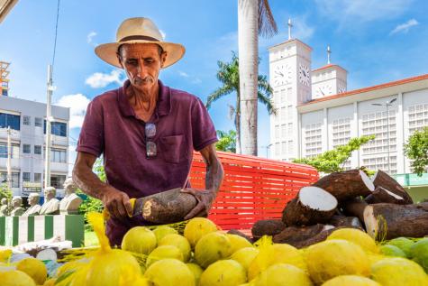 Feira Gastronômica e da Agricultura Familiar
