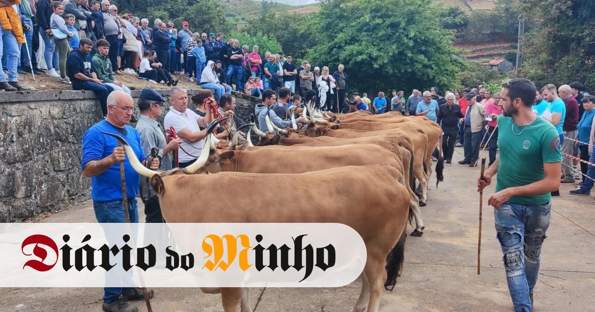 Feira Tradicional da Portela de Alvite