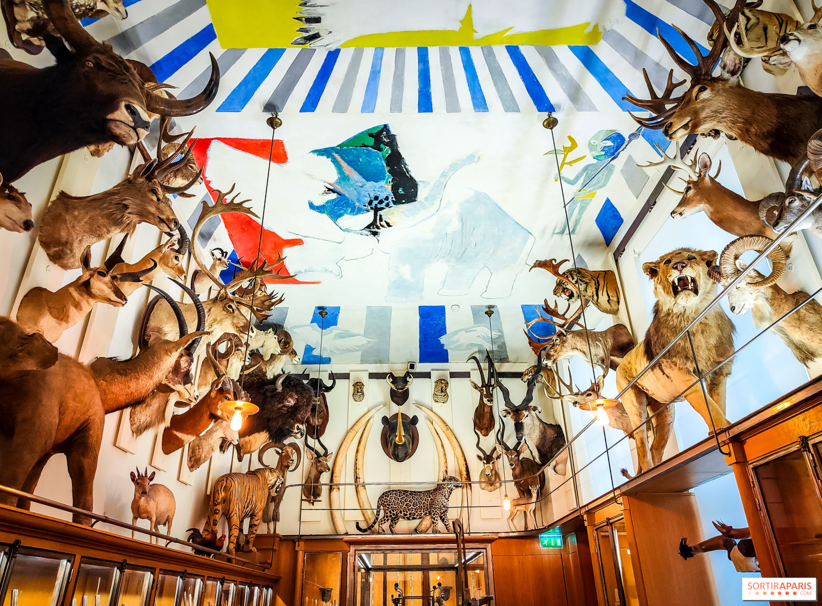 Journées du Patrimoine 2026 au Musée de la Chasse et de la Nature