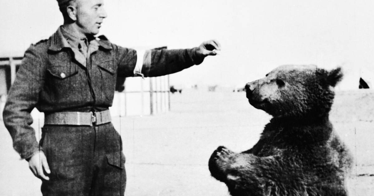 Wojtek! Der Bär, der Soldat wurde.